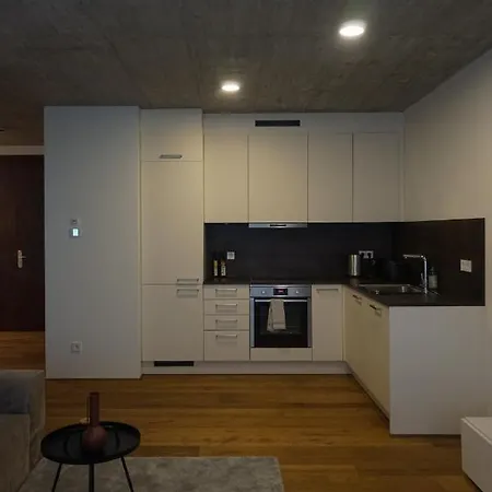 Schoenes Neubau Serviced-apartment Mit Parkplatz * Bruchsal