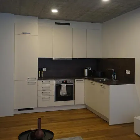 Schoenes Neubau Serviced-apartment Mit Parkplatz Apartment